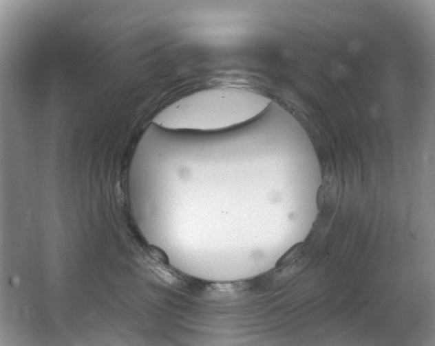 X0000068740381200604281022