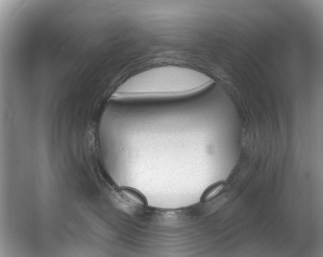 X0000068740382200604281022