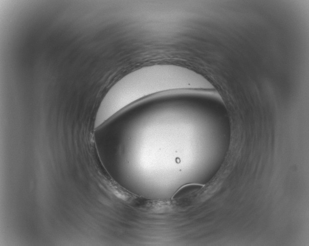 X0000068740384200604281022