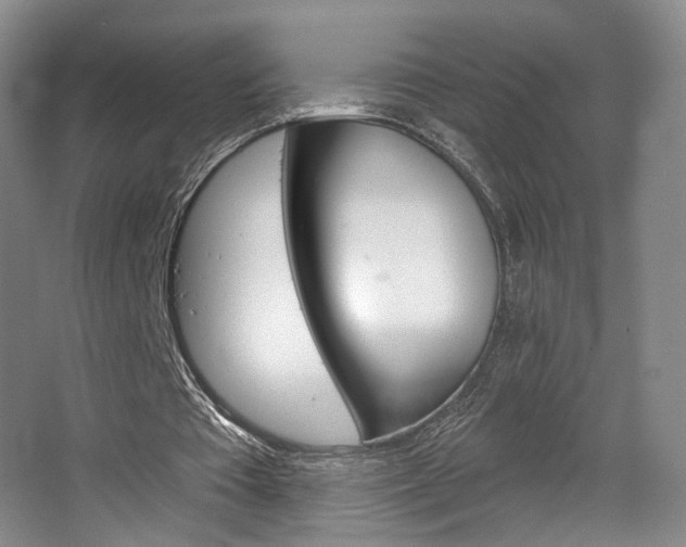 X0000068740385200604281022