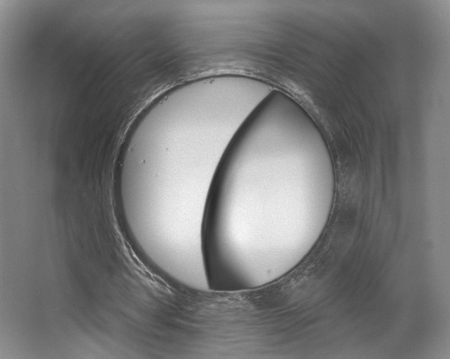 X0000068740386200604281022