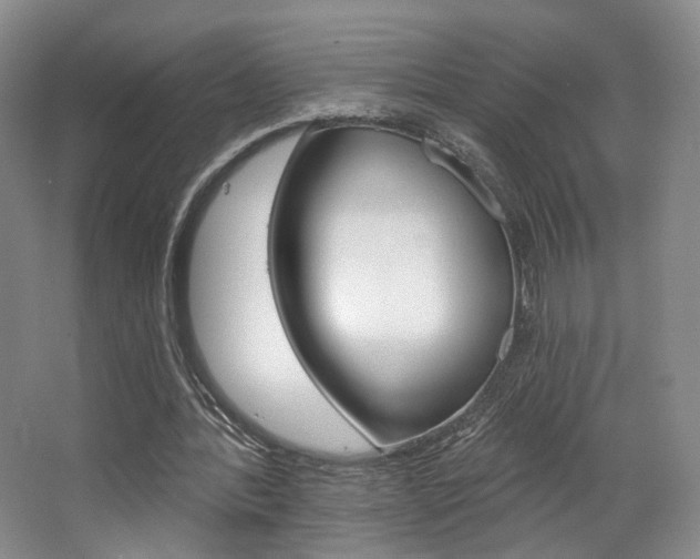 X0000068740388200604281022