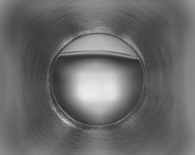 X0000068740389200604281022