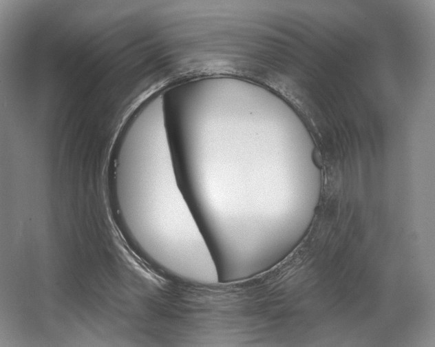 X0000068740390200604281021