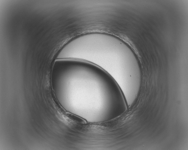 X0000068740393200604281021