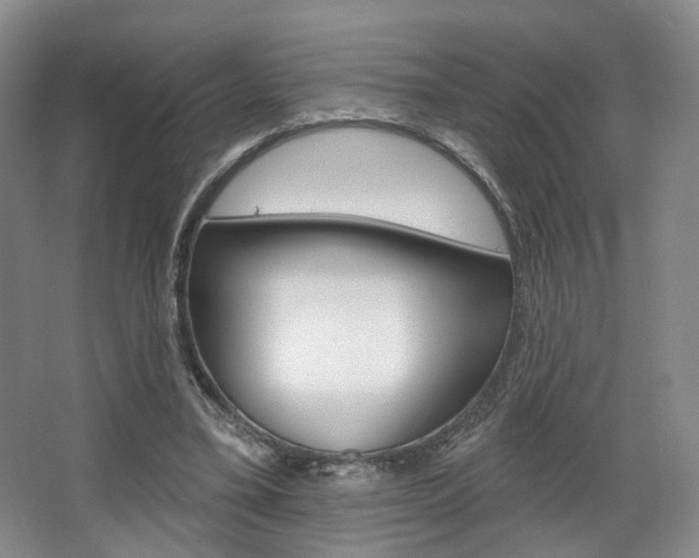 X0000068740395200604281021