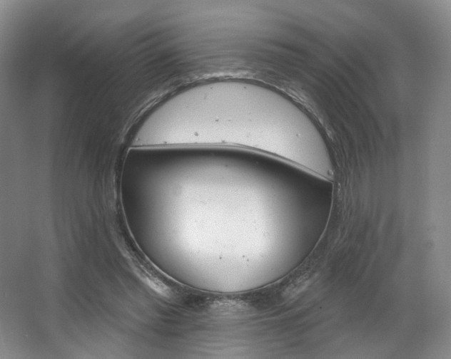 X0000068740397200604281021