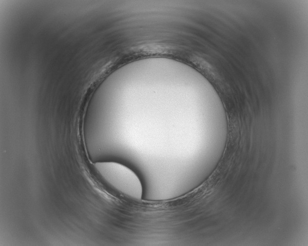 X0000068740398200604281021