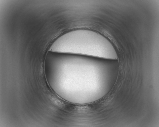 X0000068740401200604281021