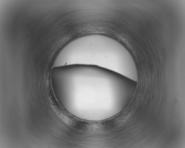 X0000068740402200604281021