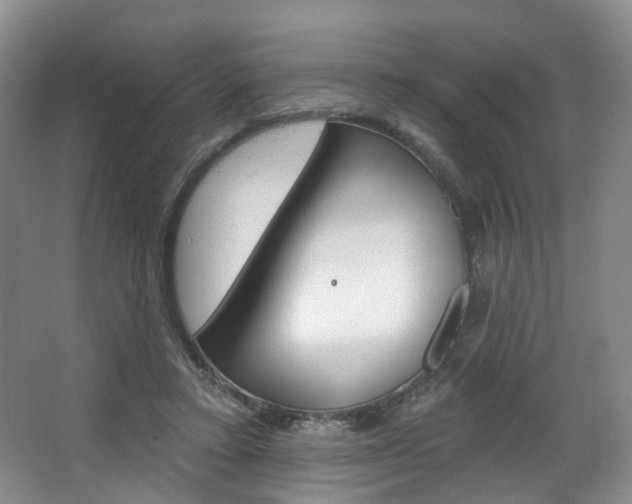 X0000068740403200604281021