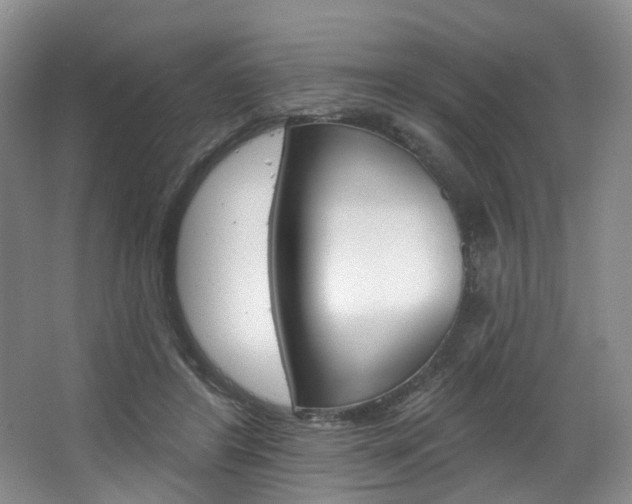 X0000068740404200604281021