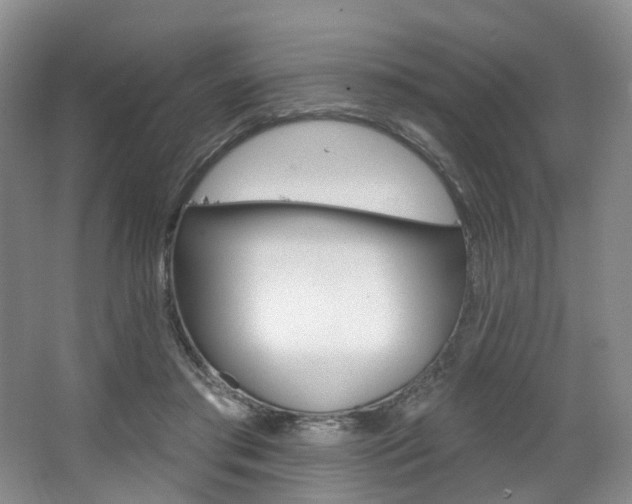 X0000068740405200604281021