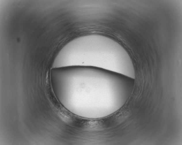 X0000068740406200604281021