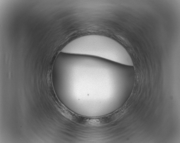 X0000068740409200604281021