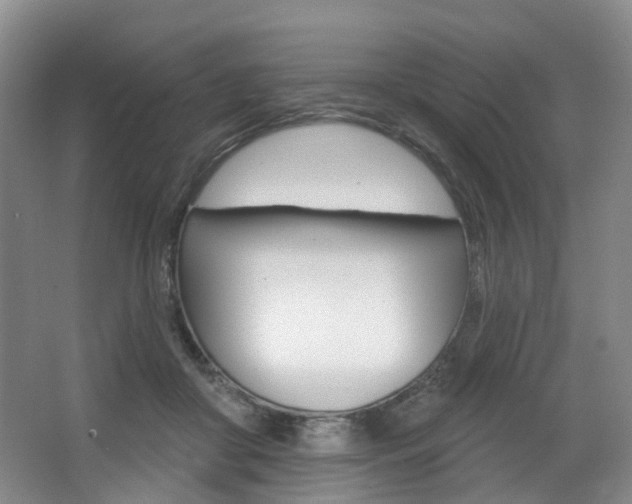 X0000068740410200604281021