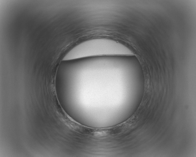 X0000068740411200604281021