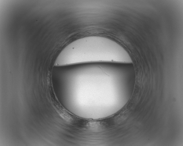 X0000068740413200604281021