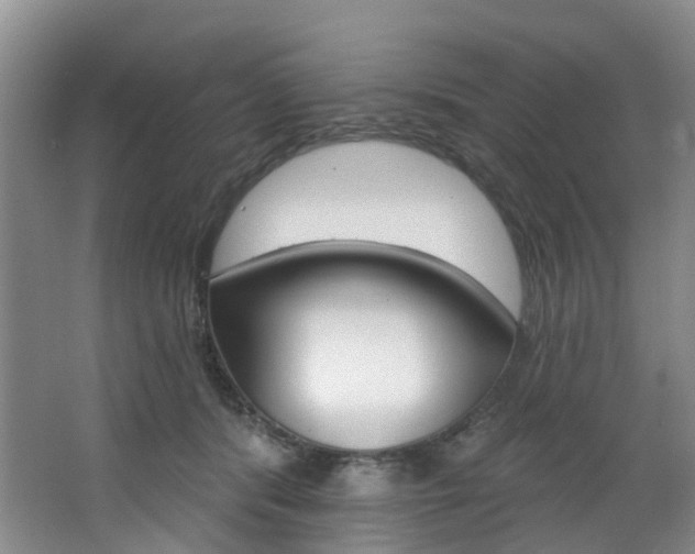 X0000068740416200604281021