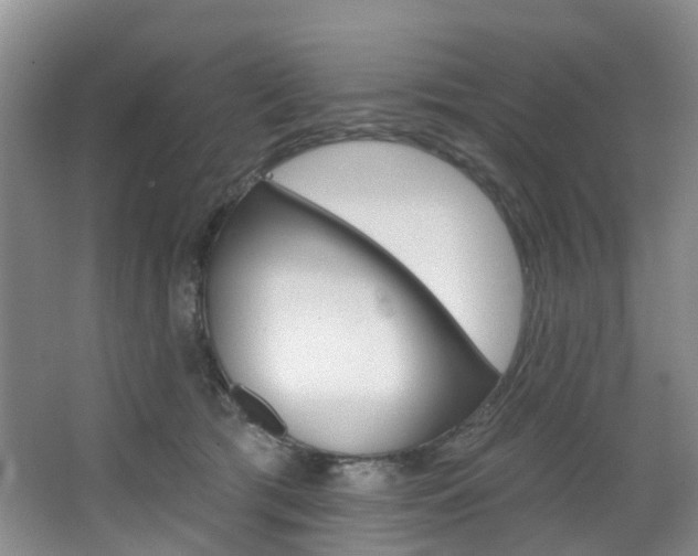 X0000068740417200604281021