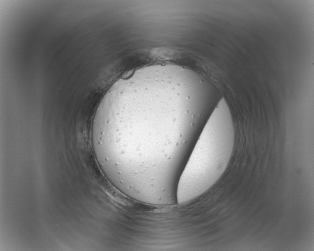 X0000068740418200604281021