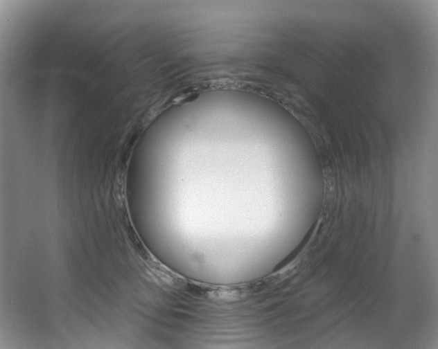 X0000068740419200604281021