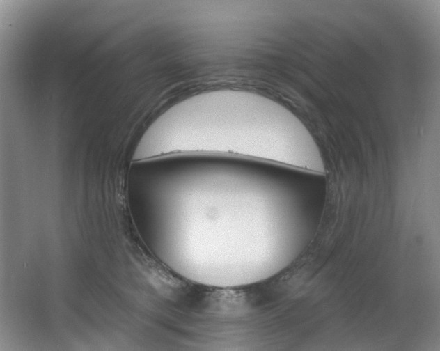 X0000068740421200604281021