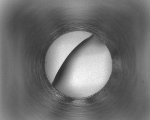 X0000068740422200604281021