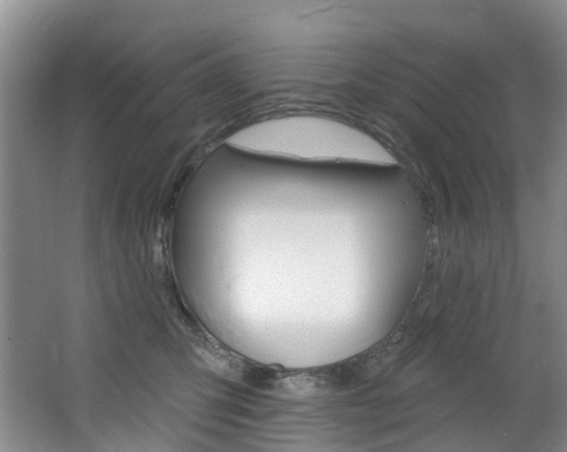 X0000068740423200604281021