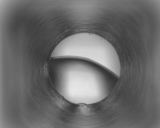 X0000068740425200604281021