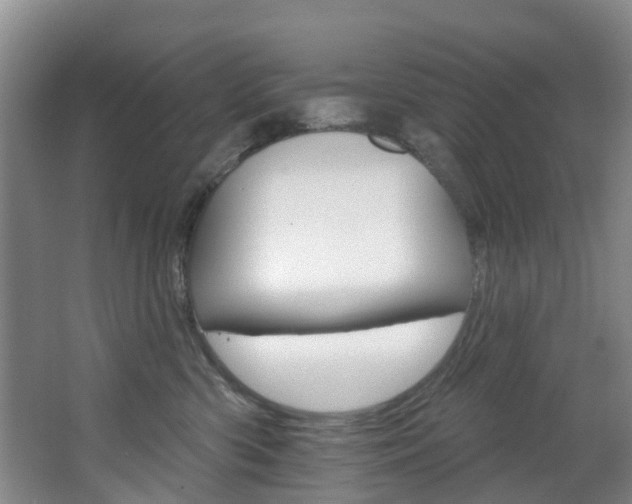 X0000068740426200604281021