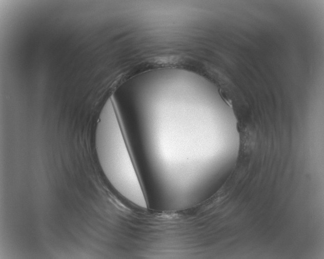 X0000068740428200604281021