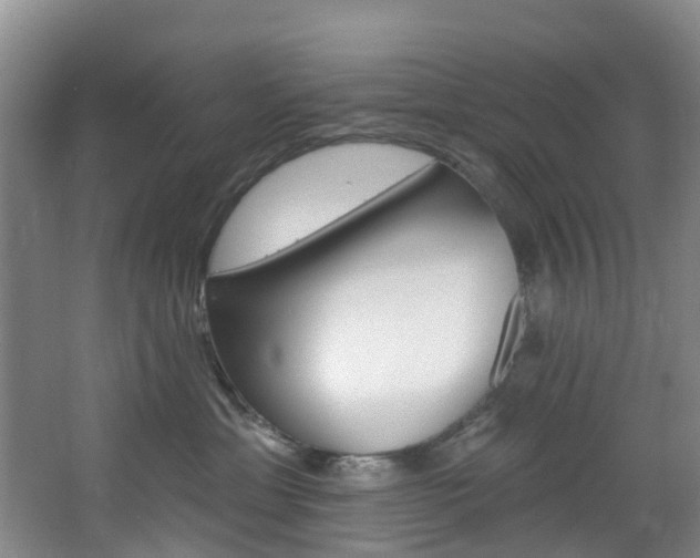 X0000068740429200604281021