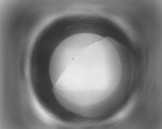 X0000068740431200604281021