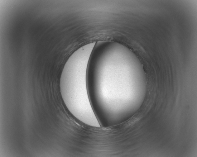 X0000068740432200604281021