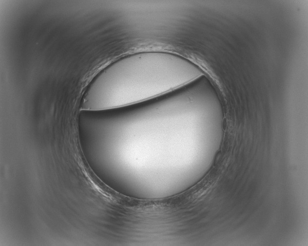 X0000068740433200604281020