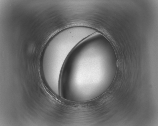 X0000068740434200604281020