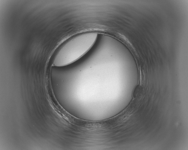 X0000068740435200604281020