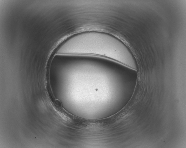 X0000068740438200604281020