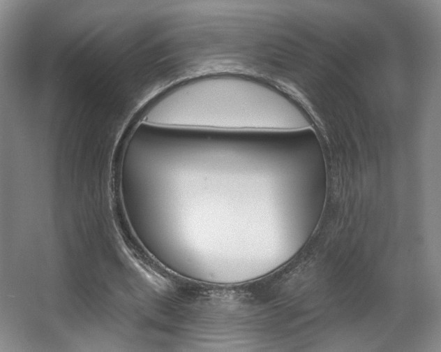 X0000068740439200604281020