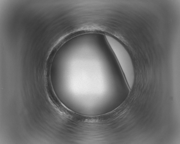 X0000068740440200604281020