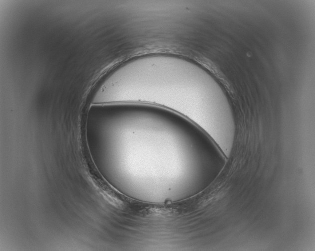 X0000068740442200604281020