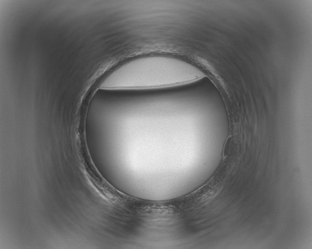 X0000068740443200604281020