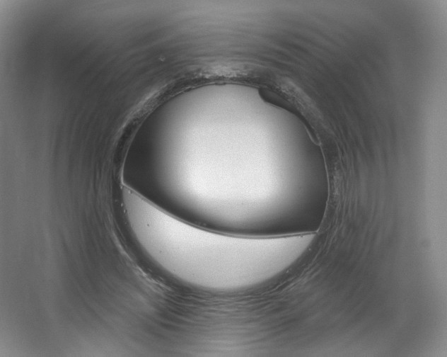 X0000068740444200604281020