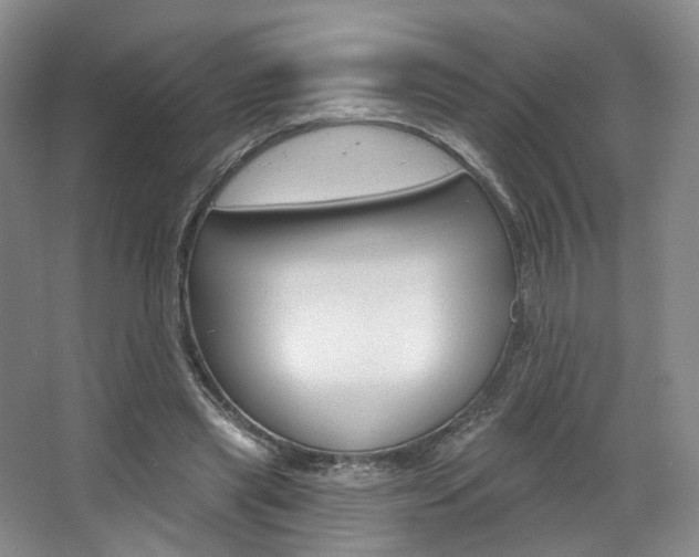 X0000068740445200604281020