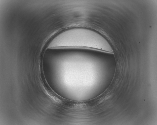 X0000068740446200604281020