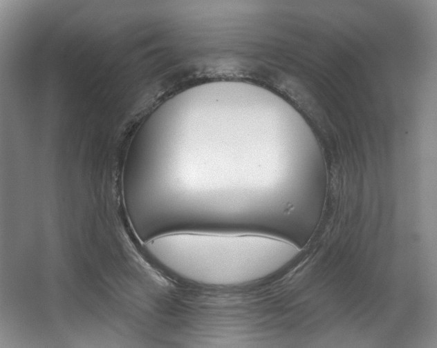 X0000068740449200604281020