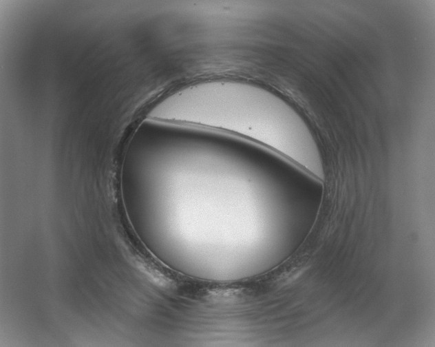 X0000068740450200604281020