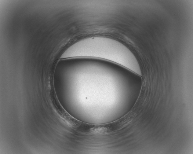 X0000068740452200604281020