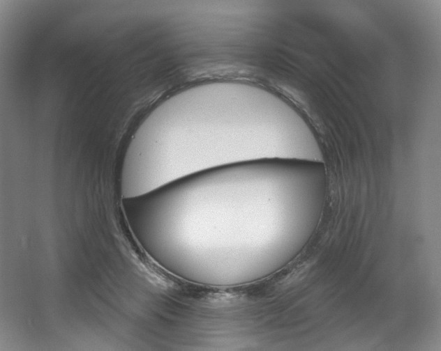 X0000068740453200604281020